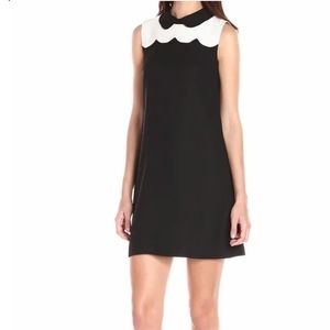 CeCe Dresses - CeCe • Scalloped Collared Shift Dress CeCe Dresses - CeCe • Scalloped Collared Shift Dress